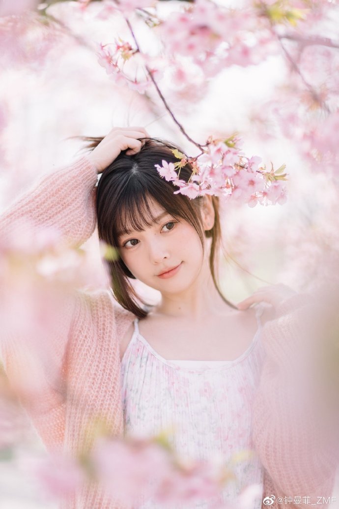 芬妮与亚历山大 封面