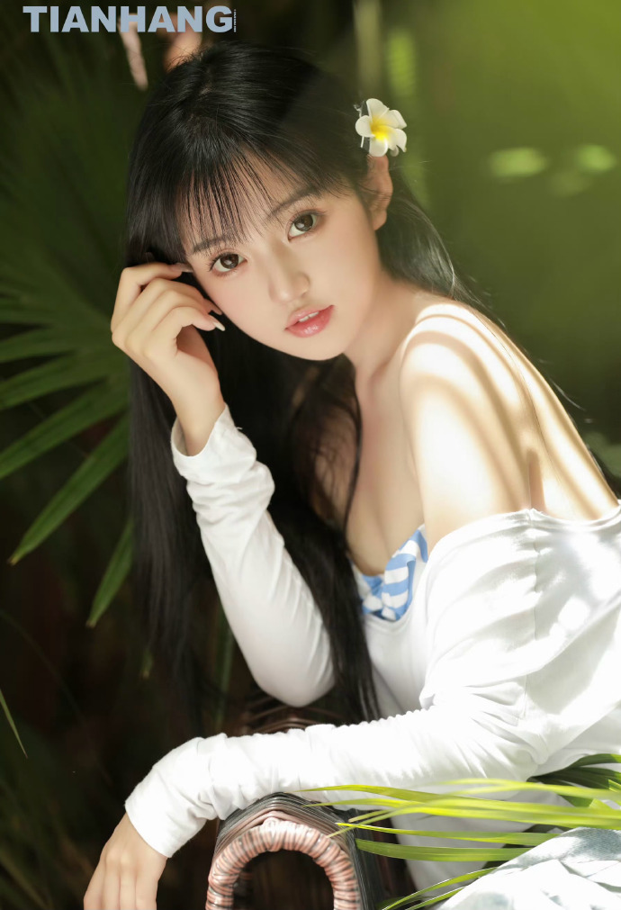 夏日大作战 封面